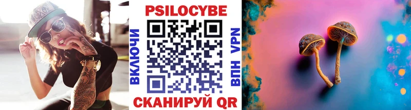 продажа наркотиков  Волжский  Псилоцибиновые грибы Cubensis 